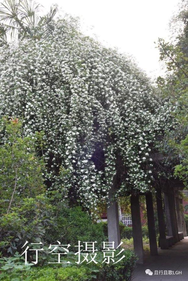 蜗牛寻新房7